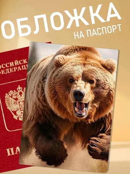 обложка на паспорт с медведем