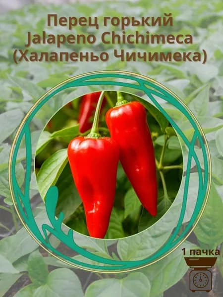 Перец острый "Jalapeno Chichimeca" (Халапеньо Чичимека) 10 шт семян