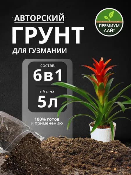Грунт для Гузмании 5л готовый лайт