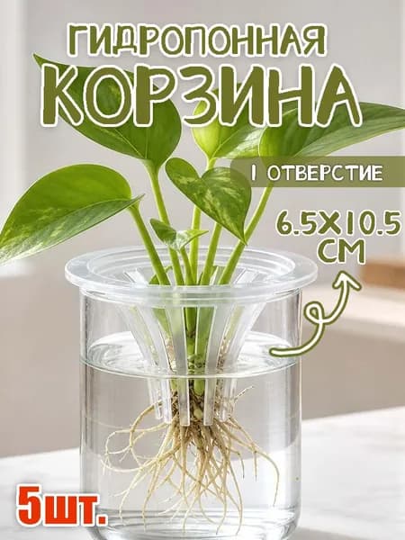 Набор для рассады