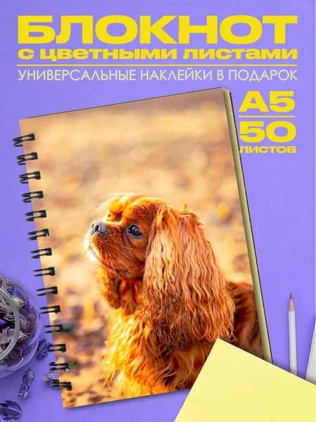 Блокнот А5 спаниель