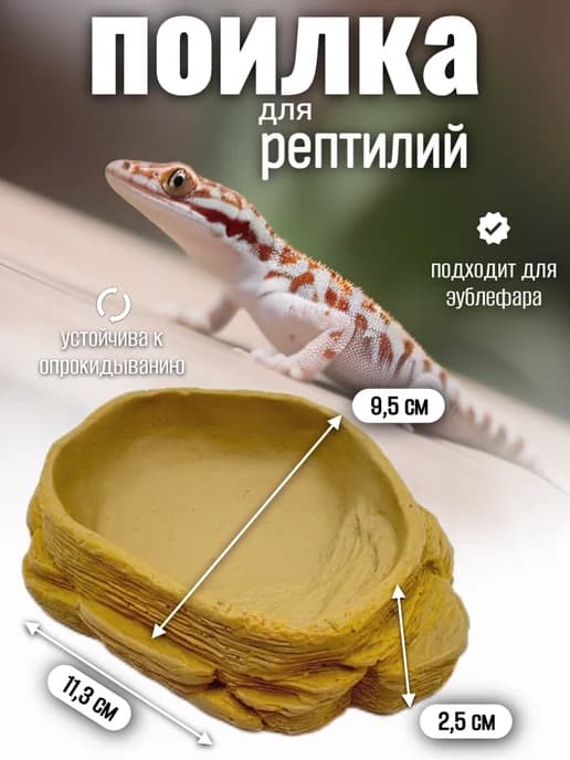 Кормушка поилка для рептилий