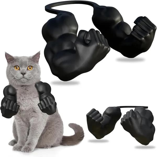 3D-печать кота с мускулистыми руками на чёрной футболке
