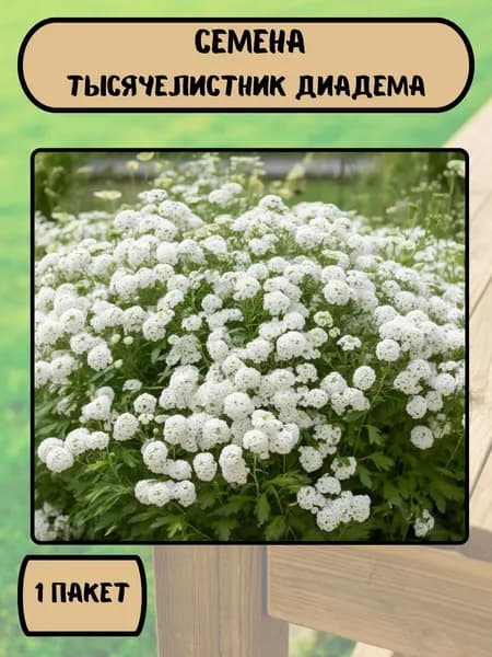 Тысячелистник Диадема, семена 10 шт
