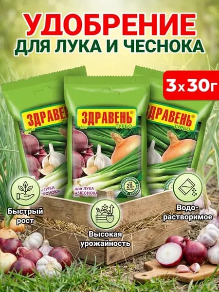 Удобрение для лука и чеснока весной