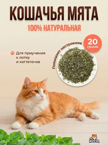 Кошачья мята 20 гр лакомство для кошек и котов
