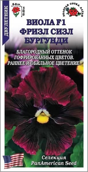 Виола Фризл Сизл Бургунди /Сотка/ 5шт/ h-20см, d-8см/*