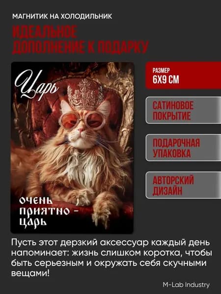 Магнит прикол для друзей, коллеги и близких в подарок, мотивация, юмор, 1шт, 6х9см