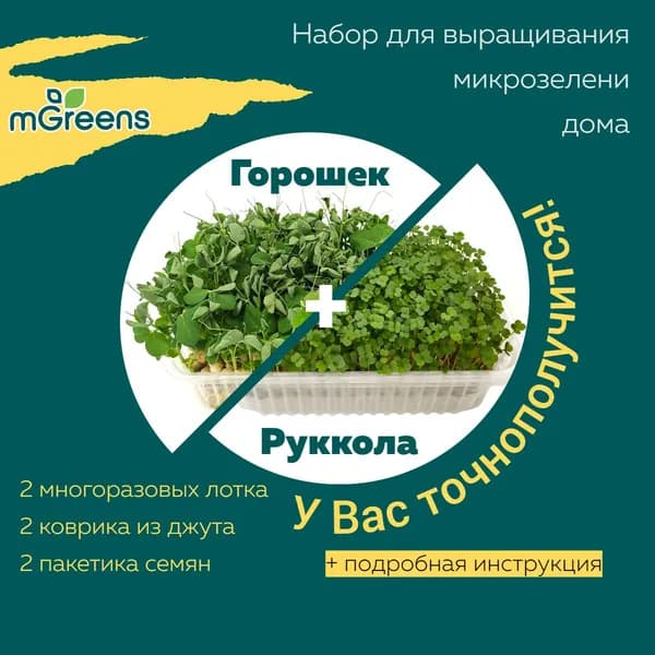Руккола + Горох. Набор для выращивания - два урожая микрозелени из одного набора.