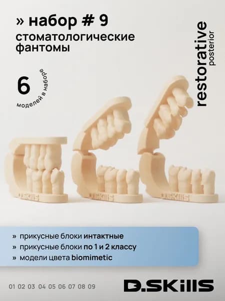 Набор #9 Модели зубов для реставрации (учебные фантомы) - прикусные блоки, цвет - натуральный, 6шт