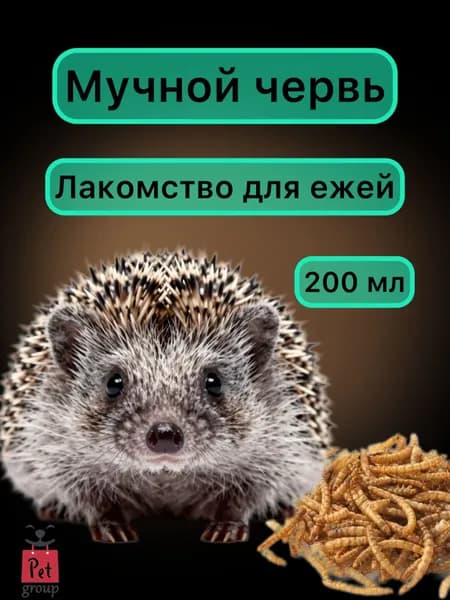 Лакомство для ежей, сушеные насекомые 200мл