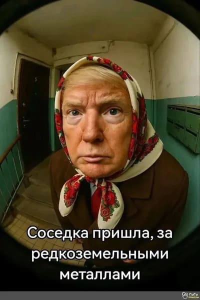 Табличка Трамп Мем "Соседка За Редкоземельными Металлами", ретро стиль, металл, декор для Любителя Абсурдных Политических Мемов, 20х30 см.