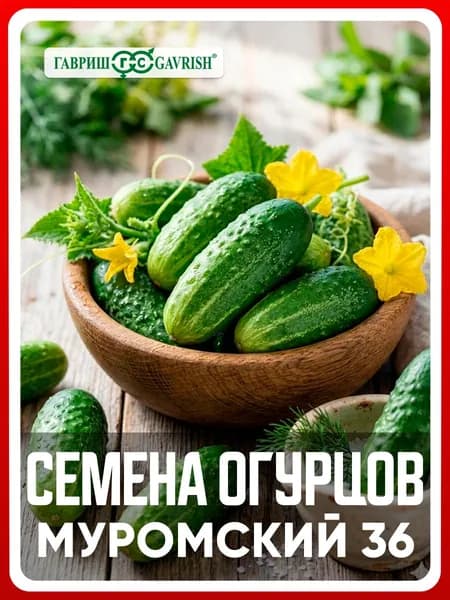 Семена Огурцов "Муромский 36" 0,5 гр, пчелоопыляемые для дома, дачи и огорода, в теплицу, в открытый грунт, в контейнер.