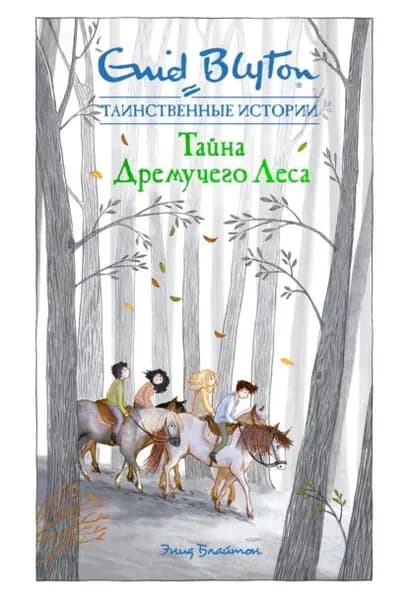 Тайна дремучего леса | Блайтон Энид | Электронная книга
