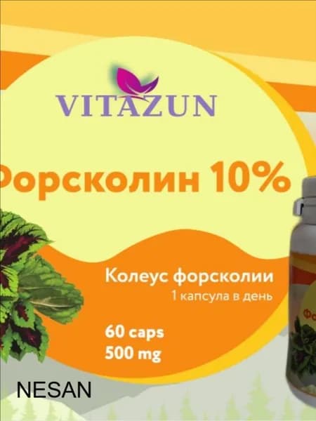 Форсколин Крапива индийская 500 мг. Экстракт 10:1. (тестостероновый бустер/жиросжигание)