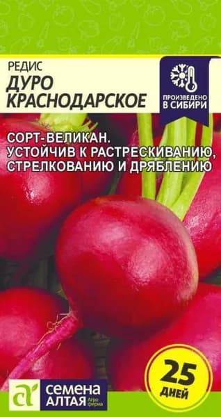 Семена Редис Дуро Краснодарское /Семена Алтая/цп 2 гр