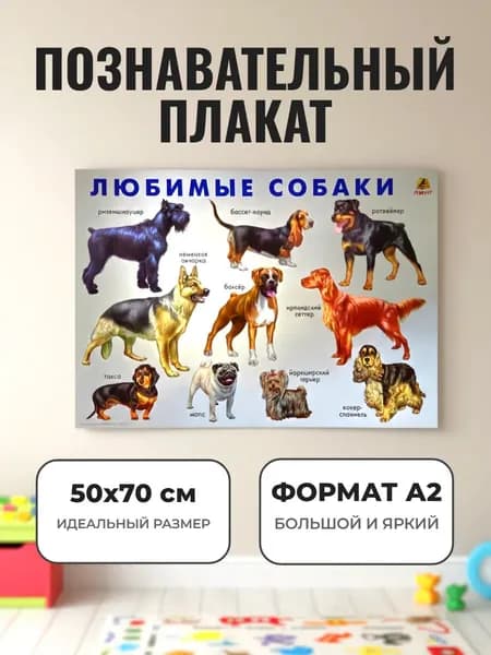 Развивающий плакат А2. "Любимые собаки"