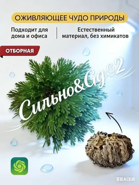 Набор для рассады