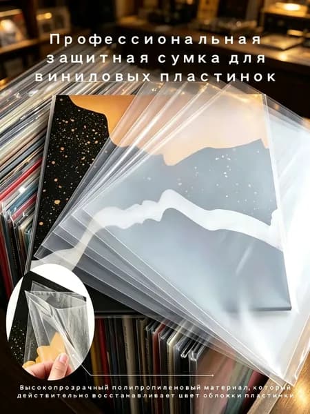 Эксклюзивный чехол с антистатической защитой для 12дюймовых виниловых пластинок 30,8 см