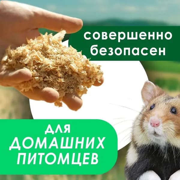 Грунт