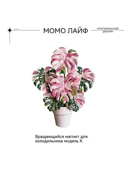 Зеленый растительный магнит