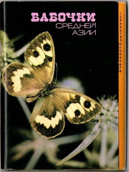 Открытка винтажная. Бабочки Средней Азии (Комплект из 18 открыток) 1989 года