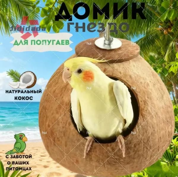 Гнездо для попугая из натурального кокоса и мусора, диаметр кокоса: 11-14 см, 1 шт