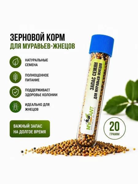 Корм для муравьев