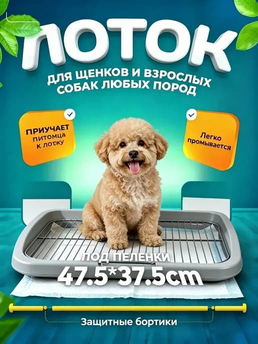 Ящик для кошачьего туалета