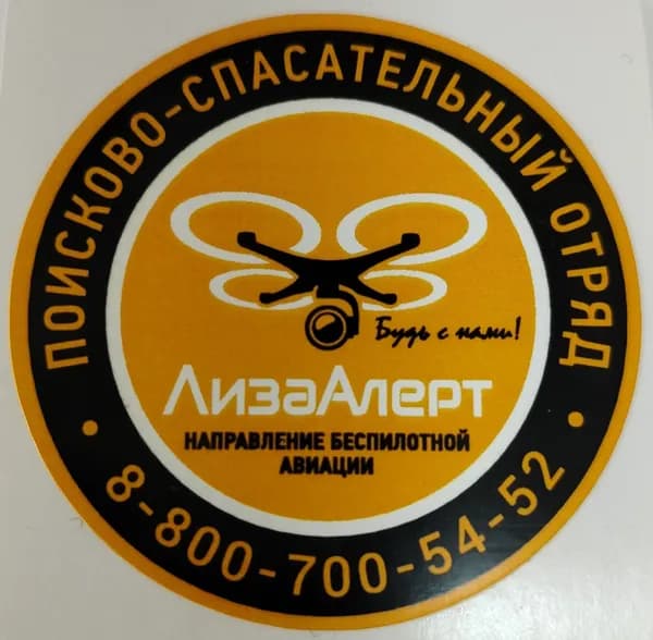 Наклейка/стикер БПЛА ЛизаАлерт 5х5 см