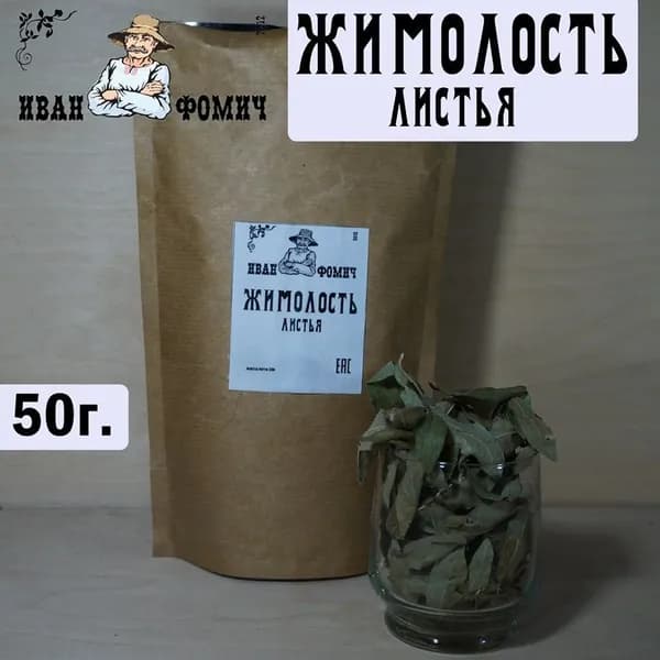 Жимолость листья. Сбор 2026г.