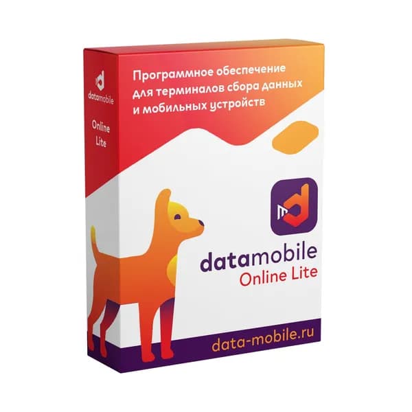 DataMobile, версия Online Lite - LifeTime