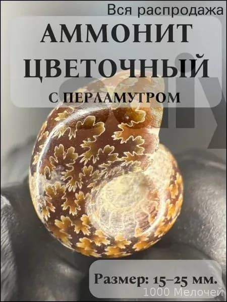 Аммонит окаменелость с перламутром, Марокко, 15-25 мм (один из образцов)