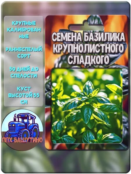 Базилик зелёный, семена