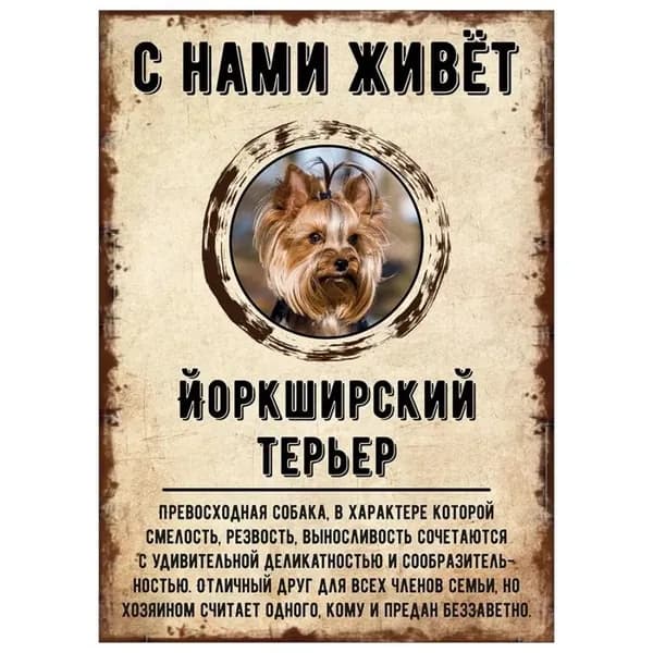 Табличка, декоративная, DANGER DOG, С нами живет Йоркширский терьер, 20x30cm