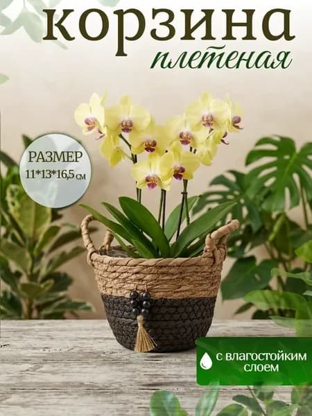 Корзина плетеная декоративная из хлопка и камыша