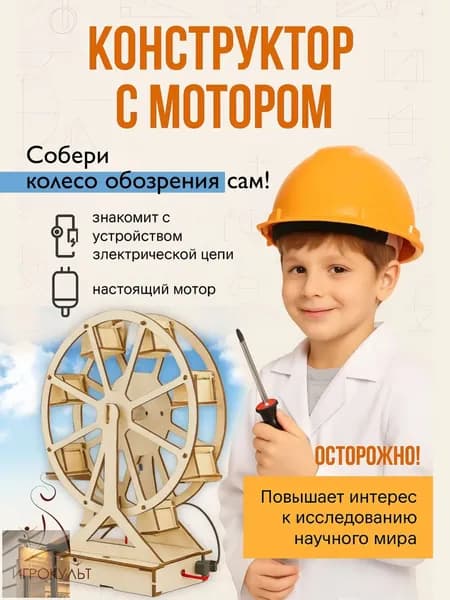 Деревянный конструктор, сборная модель с питанием Колесо обозрения