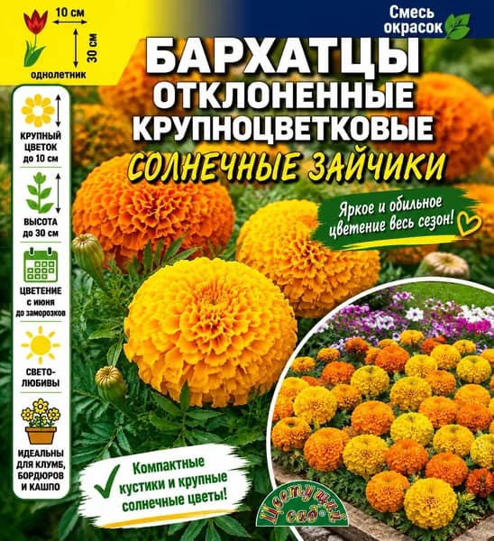 Бархатцы (Тагетес) низкорослые крупноцветковые СОЛНЕЧНЫЕ ЗАЙЧИКИ смесь окрасок (Семена Цветущий Сад, 0,1 г семян в упаковке)