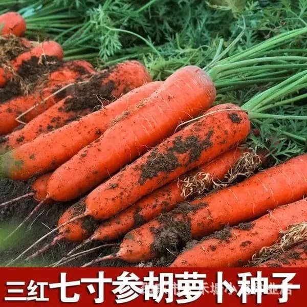 Пептидный порошок из фиолетового ямса без добавленного сахара
