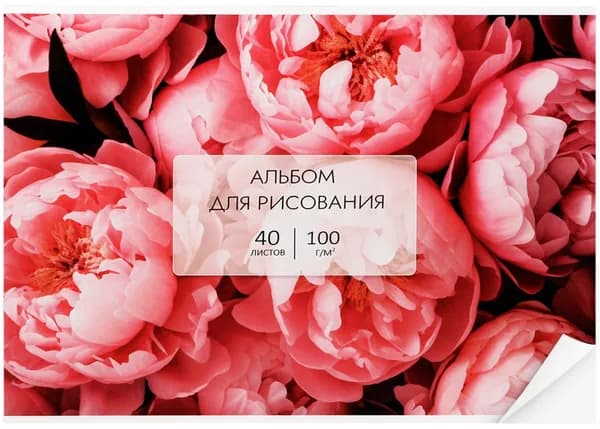 Альбом детский для рисования "Цветы", формат А4, 40 листов на склейке, плотность бумаги 100 г/м2