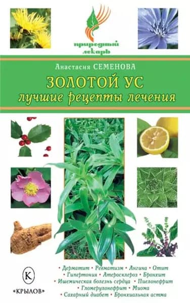 Золотой ус. Лучшие рецепты лечения | Семенова Анастасия Николаевна | Электронная книга