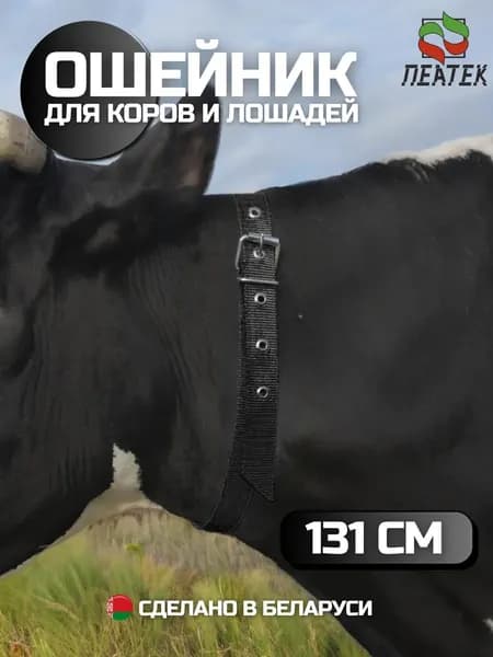 Ошейник для крс коров телят лошадей быков