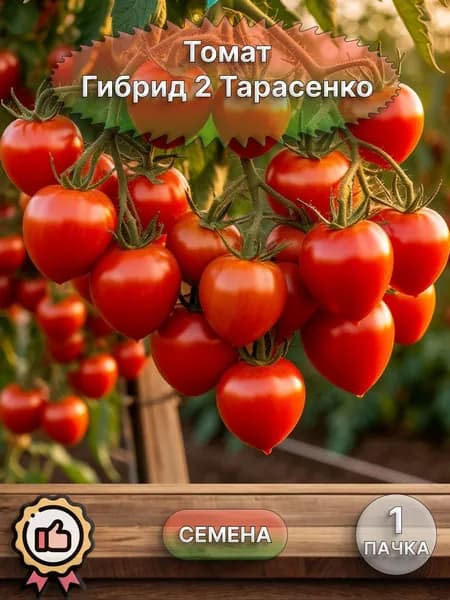 Коллекционные семена томата Гибрид 2 Тарасенко, 1 пачка