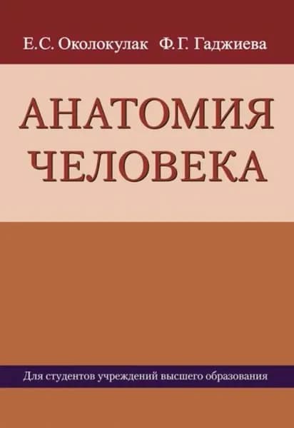 Анатомия человека | Околокулак Евгений Станиславович | Электронная книга