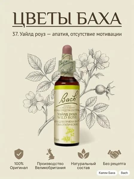 Капли Цветы Баха Уайлд Роуз (Шиповник собачий) №37, капли гомеопатические 10 мл