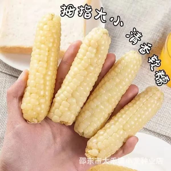 Семена миниклейкой кукурузы из Сишуанбанна