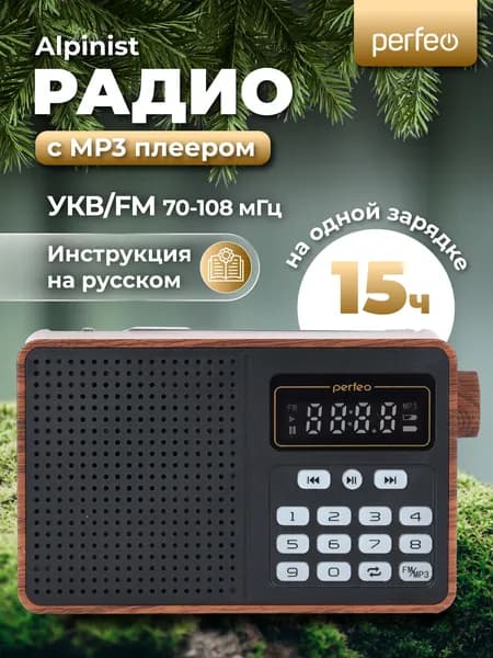 Радиоприемник цифровой Alpinist с MP3 и аккумулятором