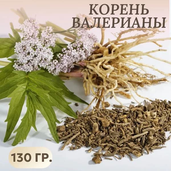 Корень валерианы