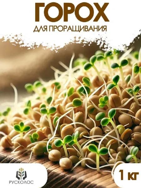 Горох для проращивания микрозелени