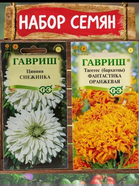 Цинния Снежинка и бархатцы Фантастика оранжевая
